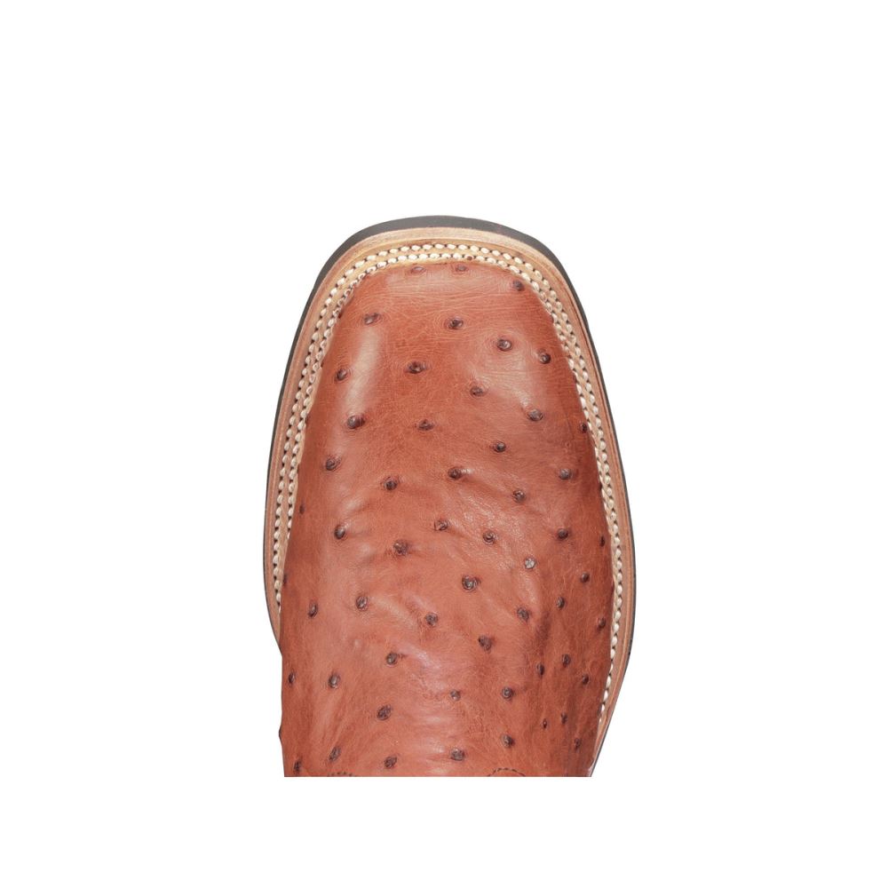 Lucchese Rowdy Ostrich - Cognac + Brown