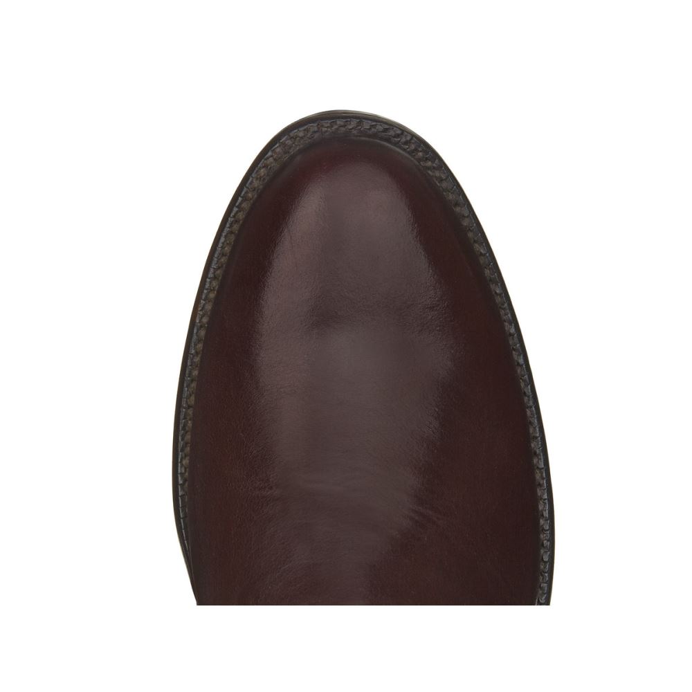 Lucchese Competition Polo Boot - Cordovan