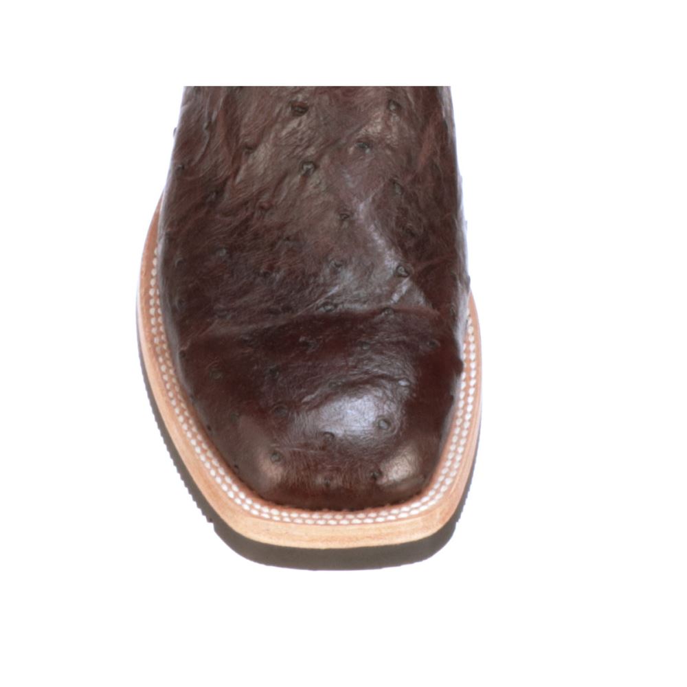 Lucchese Rowdy Ostrich - Antique Chocolate